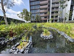 Pasir Ris 8 (D18), Apartment #605461071